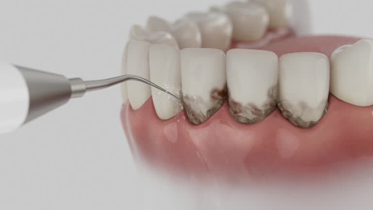 Reliable Dental contractor in Newport, NC by Dentist Open Now